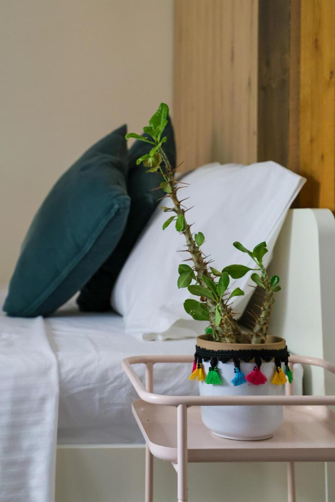 Filena'S Cozy Studio Atina Dış mekan fotoğraf